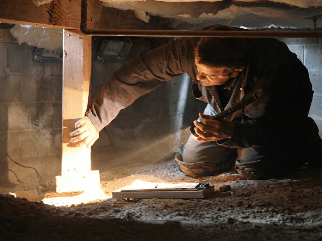 A professional inspecting wooden beams under the floor of a structure in Cape Coral, FL